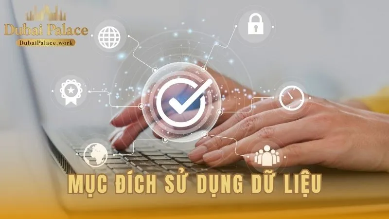 Mục đích của việc khai thác dữ liệu người dùng tại Dubai Palace